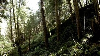 Survivorman Season 7 Episode 4 Survivorman Season 7 Episode 4