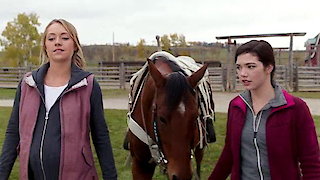 Heartland Season 10 Episode 14 Heartland Season 10 Episode 14