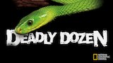 Central America's Deadly Dozen