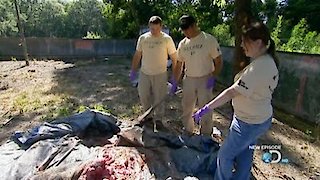 Dirty Jobs Season 6 Episode 8 Dirty Jobs Season 6 Episode 8