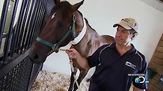 Dirty Jobs Season 6 Episode 9 Dirty Jobs Season 6 Episode 9