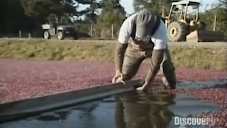 Dirty Jobs Season 4 Episode 5 Dirty Jobs Season 4 Episode 5