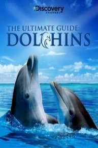 Dolphins: The Ultimate Guide Dolphins: The Ultimate Guide