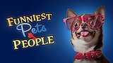 Feline Fun