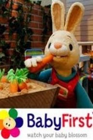Harry the Bunny