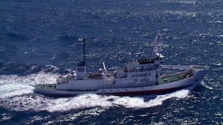 Whale Wars Season 5 Episode 2 Whale Wars Season 5 Episode 2