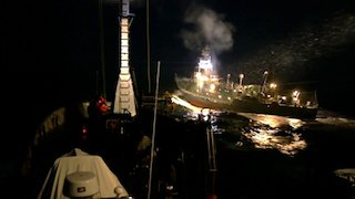Whale Wars Season 5 Episode 8 Whale Wars Season 5 Episode 8