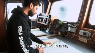 Whale Wars Season 6 Episode 2 Whale Wars Season 6 Episode 2