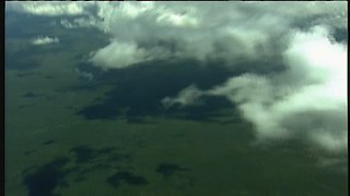 The Jeff Corwin Experience Season 2 Episode 8 The Jeff Corwin Experience Season 2 Episode 8