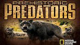Asteroid Strike