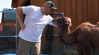 Impractical Jokers - Hump Day