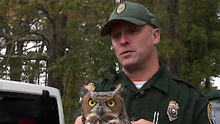 North Woods Law Season 12 Episode 10 North Woods Law Season 12 Episode 10