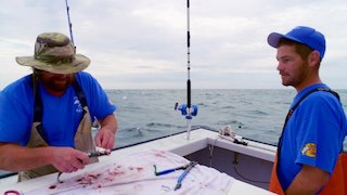 Wicked Tuna Season 7 Episode 8 Wicked Tuna Season 7 Episode 8