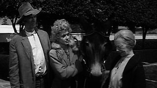 The Beverly Hillbillies Season 2 Episode 3 The Beverly Hillbillies Season 2 Episode 3