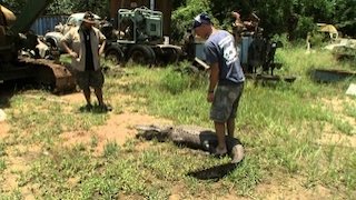 Gator Boys Season 6 Episode 8 Gator Boys Season 6 Episode 8