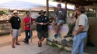 Gator Boys Season 6 Episode 10 Gator Boys Season 6 Episode 10