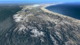 Forests