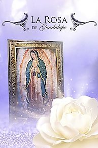 La Rosa de Guadalupe