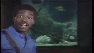 Reading Rainbow Season 1 Episode 12 Reading Rainbow Season 1 Episode 12