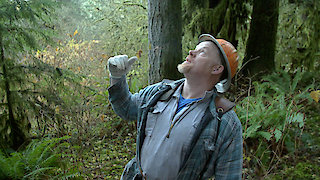 Ax Men Season 10 Episode 7 Ax Men Season 10 Episode 7