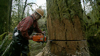Ax Men Season 10 Episode 9 Ax Men Season 10 Episode 9