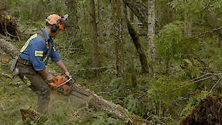 Ax Men Season 10 Episode 10 Ax Men Season 10 Episode 10