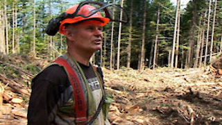 Ax Men Season 8 Episode 1 Ax Men Season 8 Episode 1