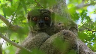 Green Paradise Season 1 Episode 4 Green Paradise Season 1 Episode 4