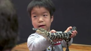 The Little Couple Season 13 Episode 3 The Little Couple Season 13 Episode 3