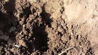 Diggers Season 4 Episode 12 Diggers Season 4 Episode 12