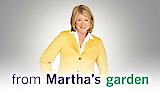Planning Your Garden