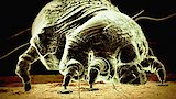 Hell-iday Horrors