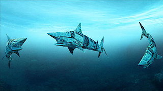 Shark Tank Season 11 Episode 5 Shark Tank Season 11 Episode 5