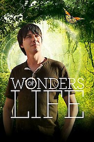 Wonders Of Life