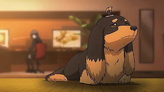Dog & Scissors Season 1 Episode 1 Dog & Scissors Season 1 Episode 1