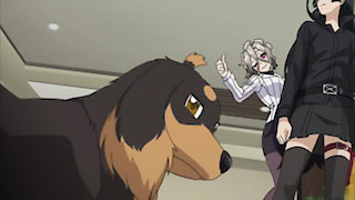 Dog & Scissors Season 1 Episode 7 Dog & Scissors Season 1 Episode 7