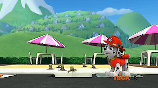Paw Patrol Season 1 Episode 3 Paw Patrol Season 1 Episode 3