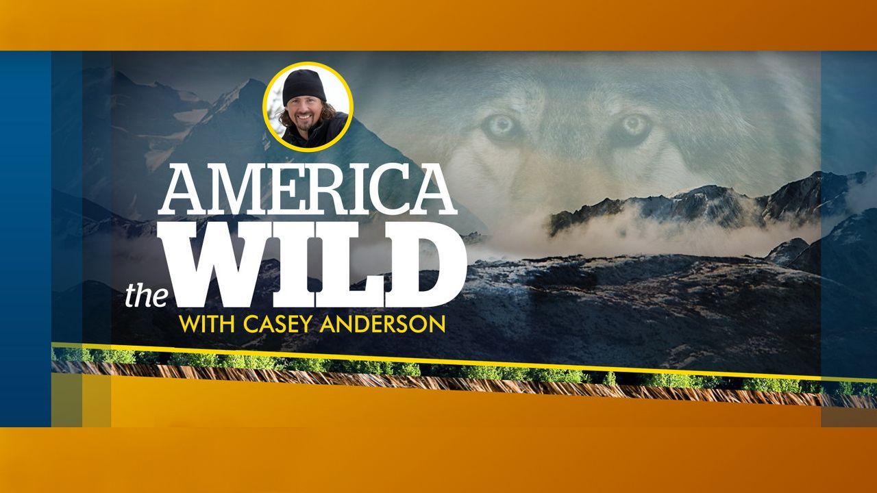 America the Wild with Casey Anderson