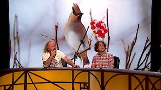 Qi Season 11 Episode 1 Qi Season 11 Episode 1