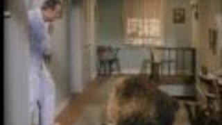 My Three Sons Season 6 Episode 5 My Three Sons Season 6 Episode 5
