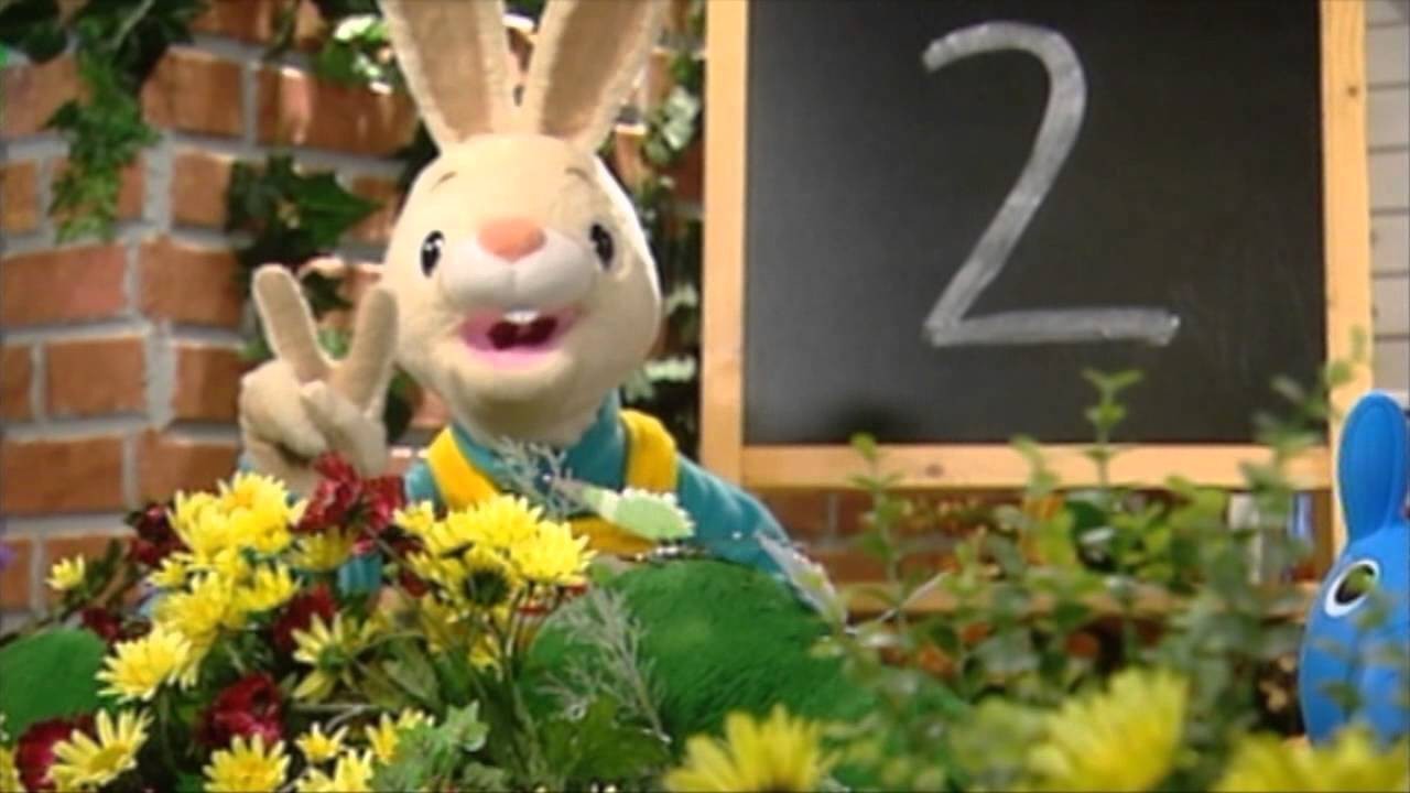 Vocabulary And Numbers With Harry The Bunny