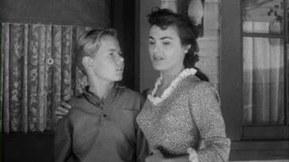 The Adventures of Champion Season 1 Episode 25 The Adventures of Champion Season 1 Episode 25
