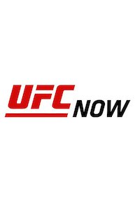 UFC 161