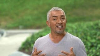Cesar 911 Season 4 Episode 7 Cesar 911 Season 4 Episode 7
