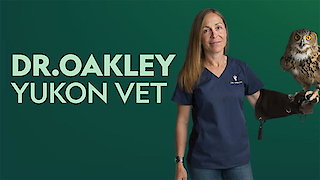 Dr. Oakley, Yukon Vet - Yukon Do It