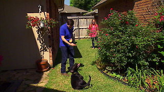 House Hunters Season 107 Episode 1 House Hunters Season 107 Episode 1