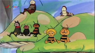 Maya The Bee Season 2 Episode 51 Maya The Bee Season 2 Episode 51