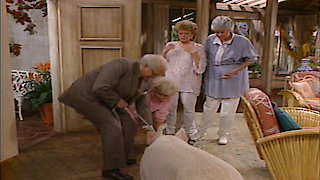 The Golden Girls Season 3 Episode 3 The Golden Girls Season 3 Episode 3