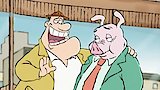 Swine Anxiety