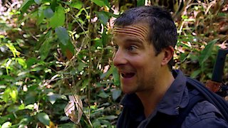 Running Wild With Bear Grylls Season 5 Episode 10 Running Wild With Bear Grylls Season 5 Episode 10